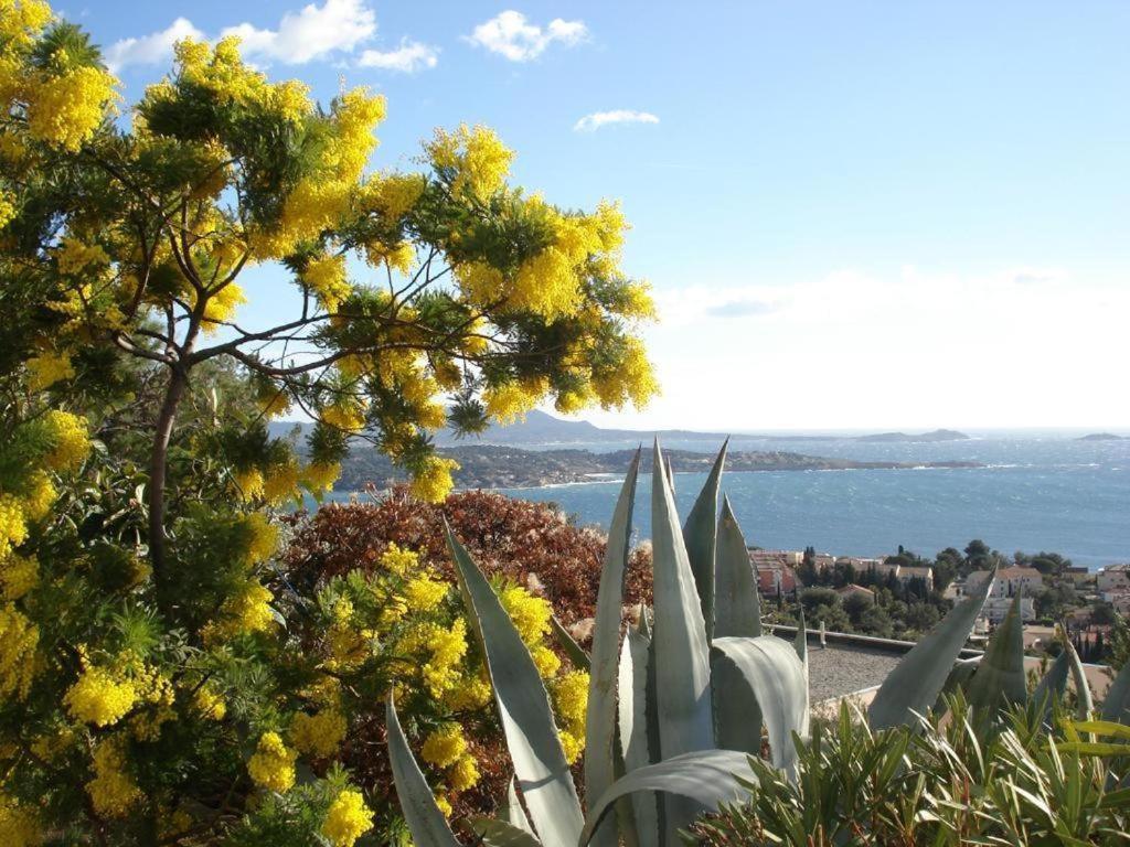 Studio Bandol Centre 2 Etoiles Ideal Emplacement Exterior photo
